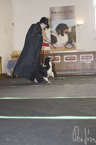 _MG_9568.jpg